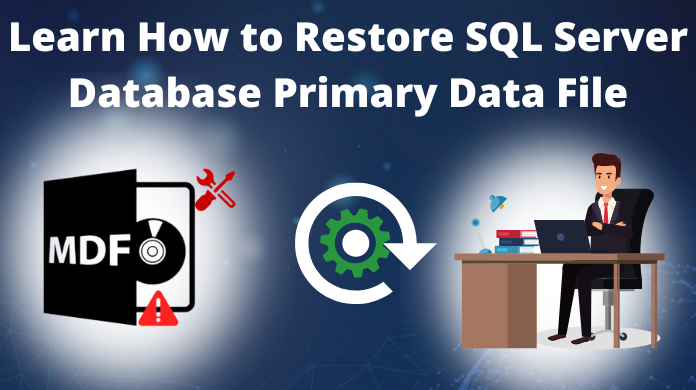 SQL Server database primary data file