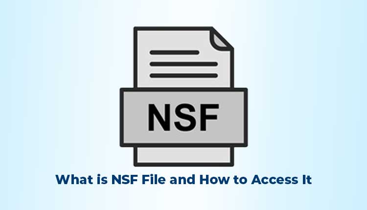 know-about-nsf-file-access