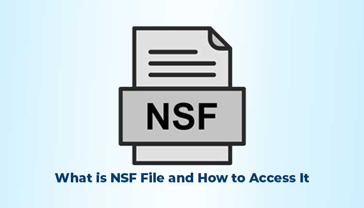know-about-nsf-file-access