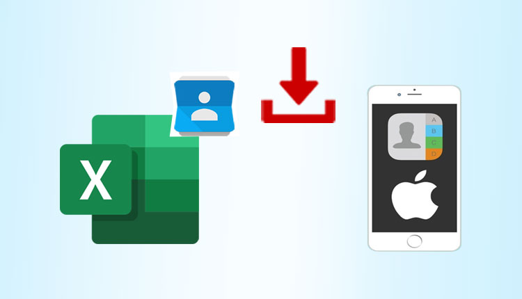download-excel-contacts