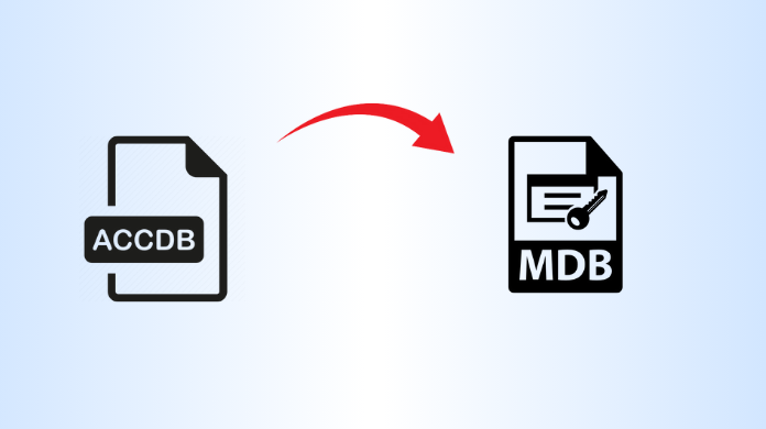 Convert ACCDB to MDB Without Access